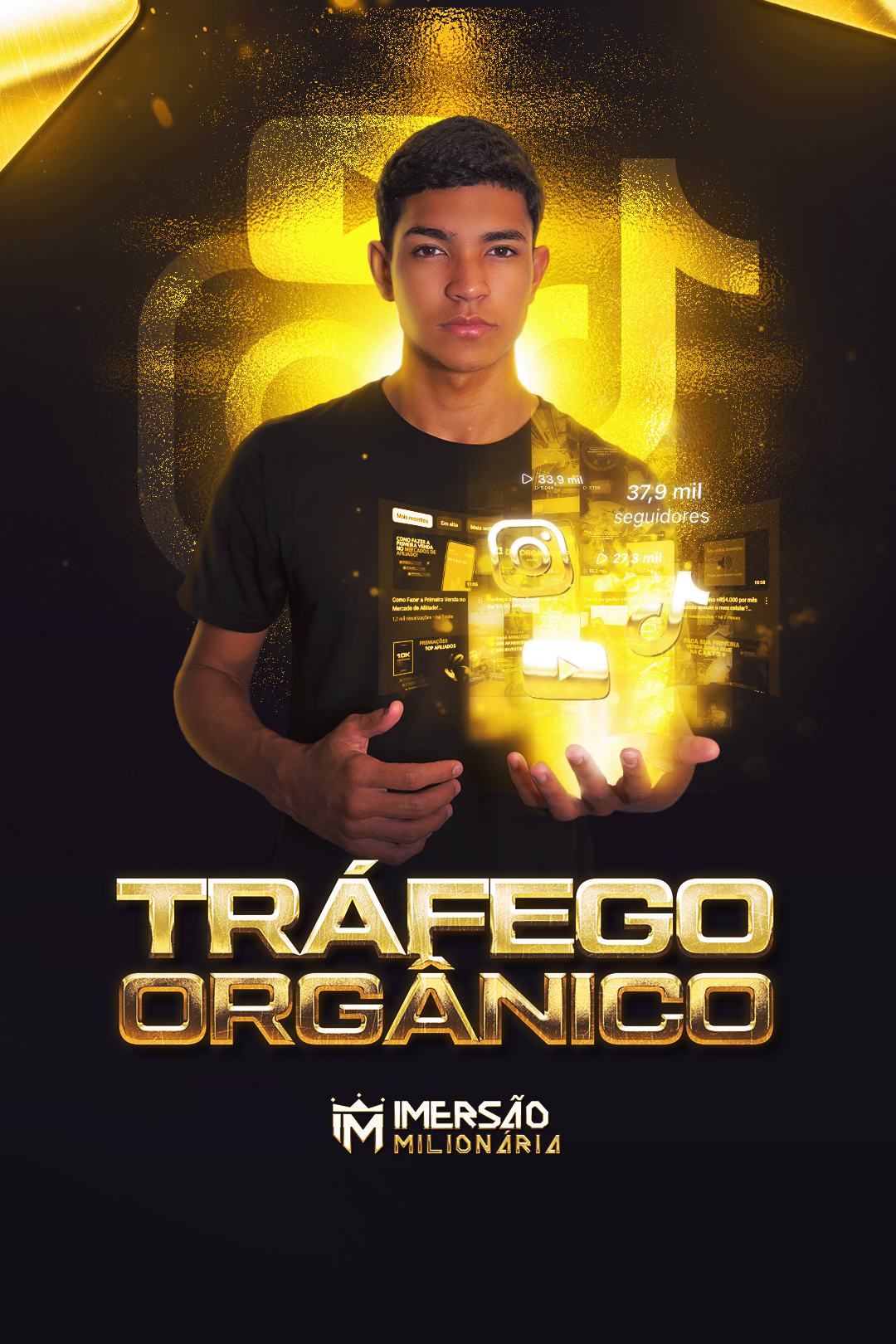 Tráfego Orgânico IM